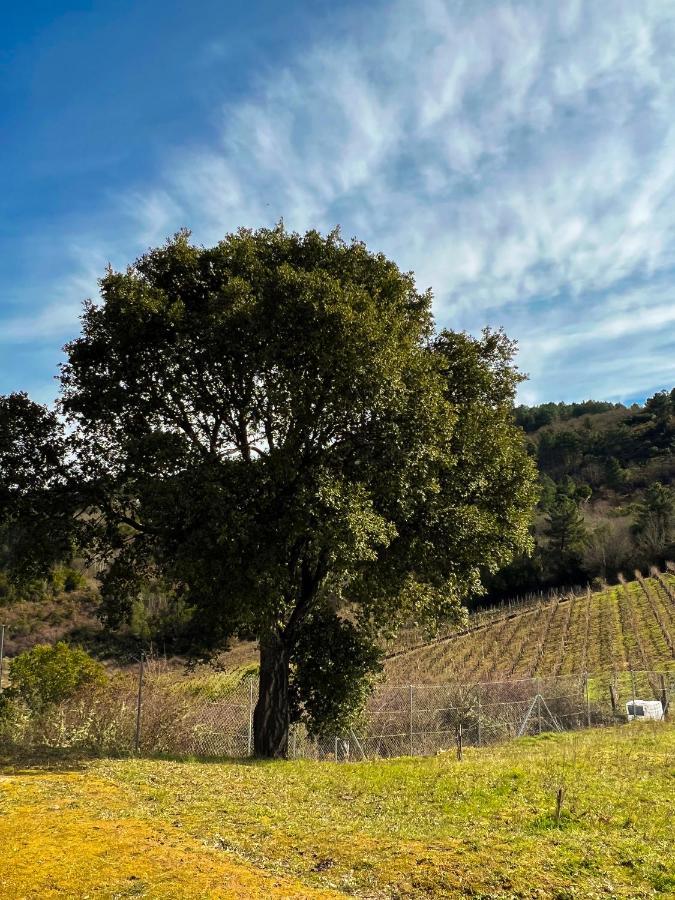 Vila A Portelina Casa Rural Rubia Exteriér fotografie